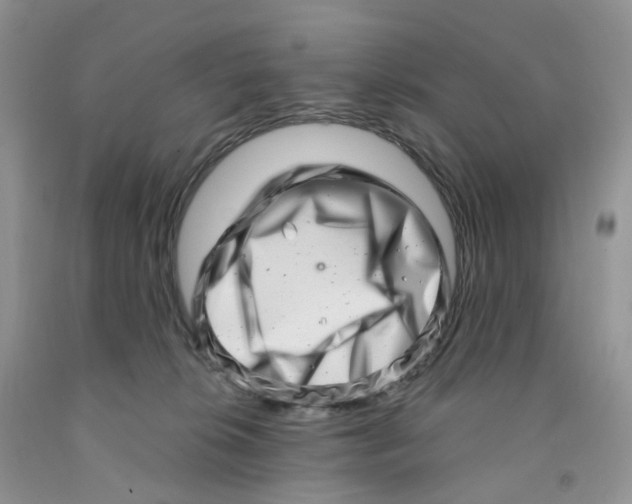 X0000091310276200709071120