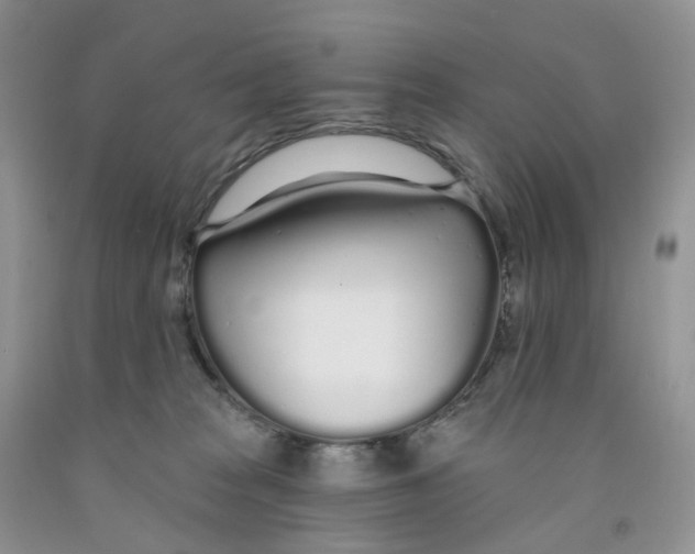 X0000091310277200709071120