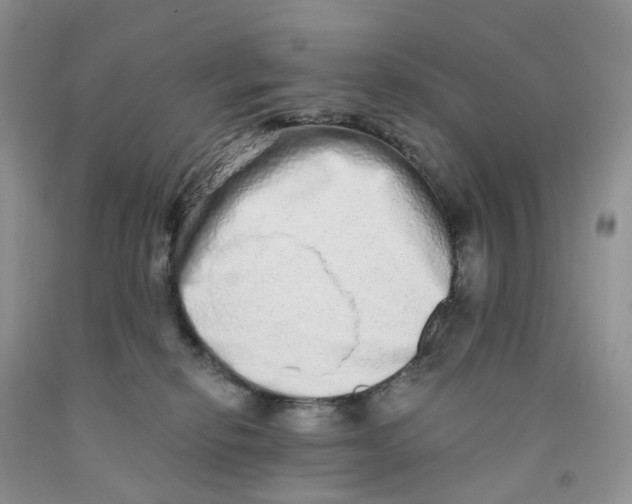 X0000091310278200709071120