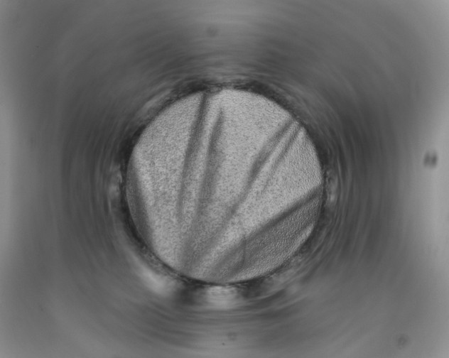 X0000091310279200709071120
