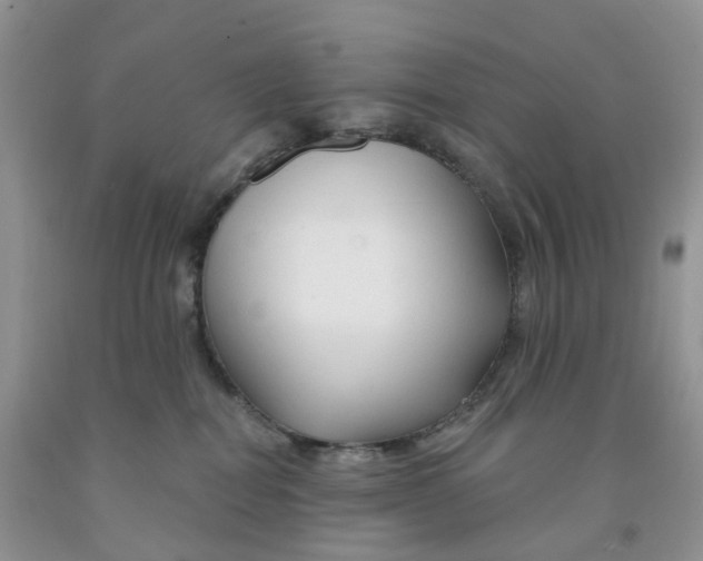 X0000091310282200709071120