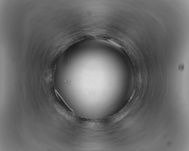 X0000091310284200709071120