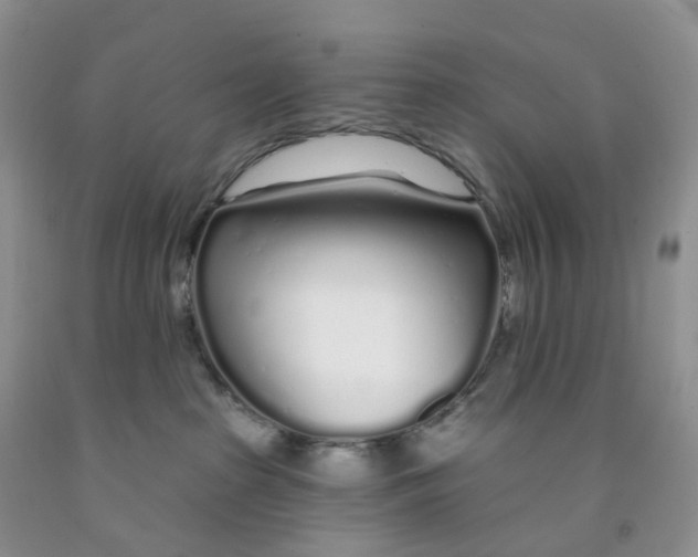 X0000091310285200709071120
