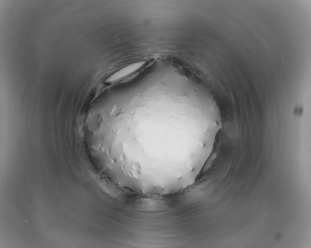 X0000091310286200709071120