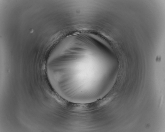 X0000091310288200709071120