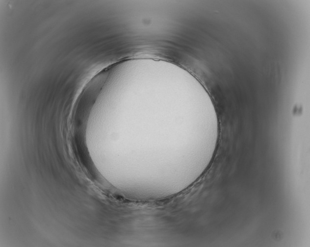 X0000091310289200709071119