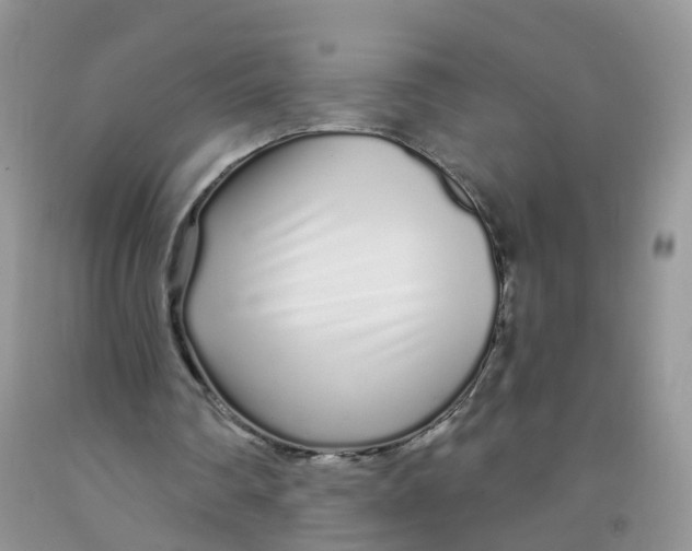 X0000091310290200709071119