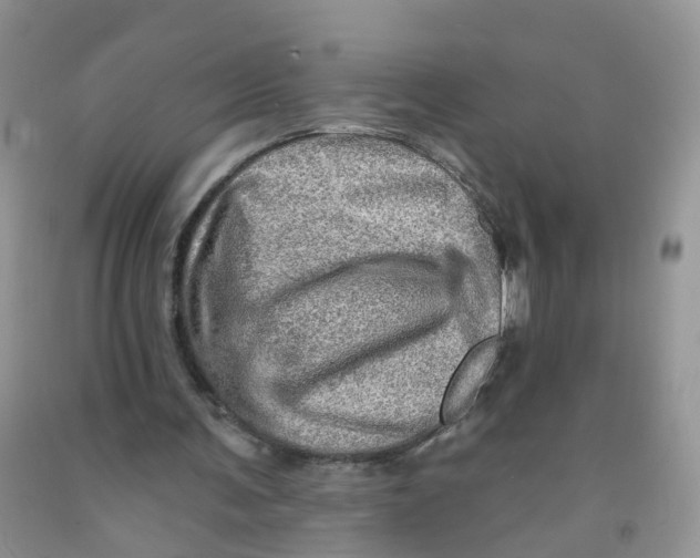 X0000091310291200709071119
