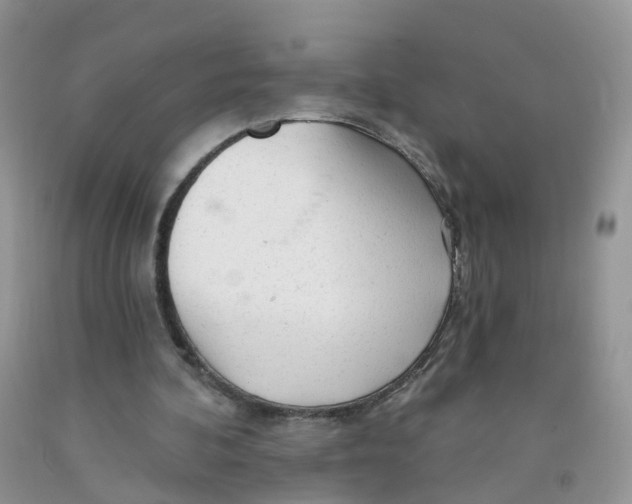 X0000091310292200709071119