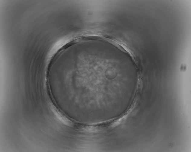 X0000091310293200709071119