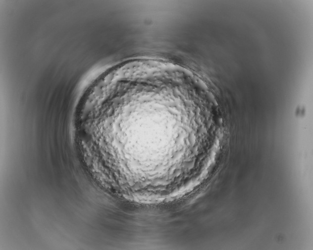 X0000091310294200709071119