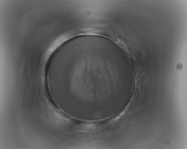 X0000091310295200709071119