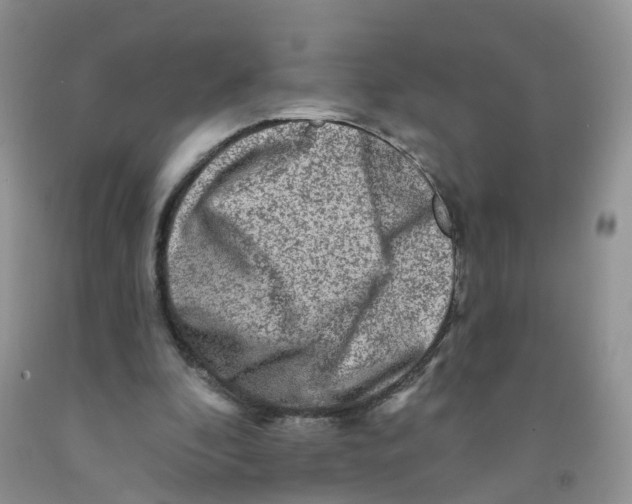 X0000091310296200709071119