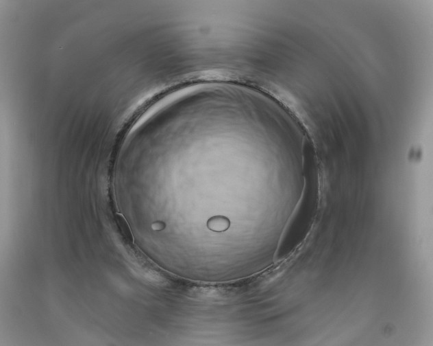 X0000091310297200709071119