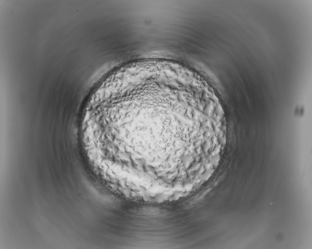 X0000091310298200709071119