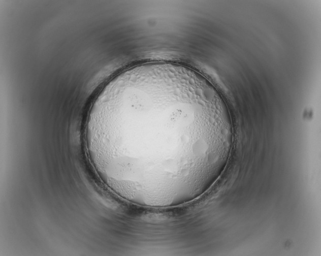 X0000091310299200709071119