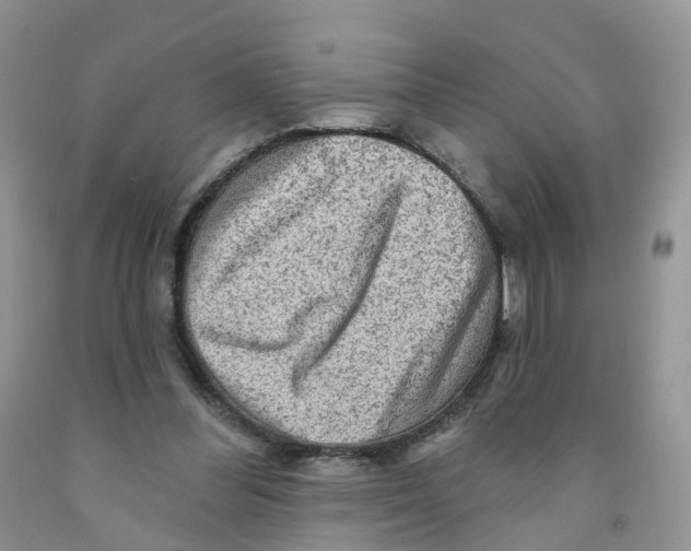 X0000091310300200709071119