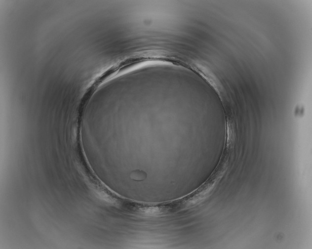 X0000091310301200709071119
