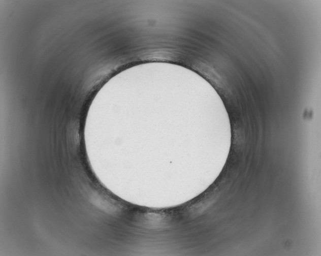 X0000091310302200709071119