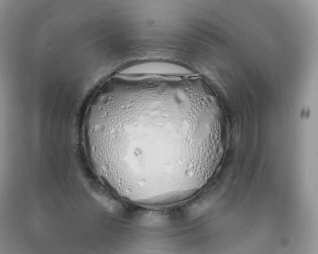 X0000091310303200709071119