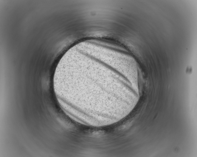 X0000091310304200709071119