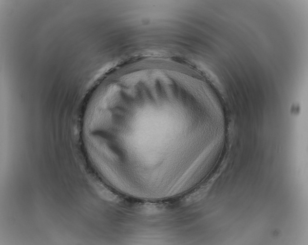 X0000091310305200709071119