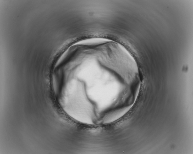 X0000091310306200709071119