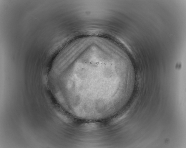 X0000091310307200709071119