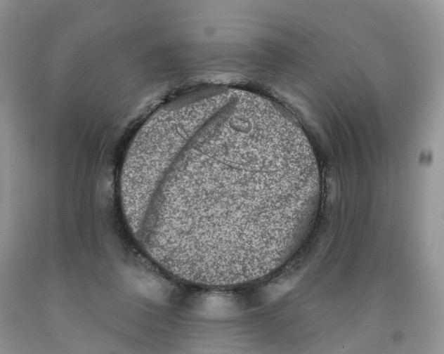 X0000091310308200709071119