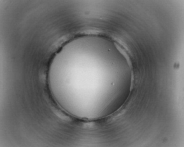 X0000091310309200709071119