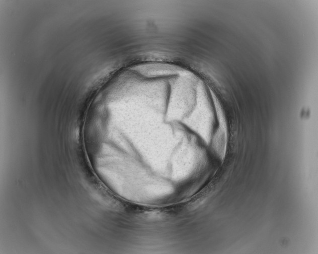 X0000091310310200709071119