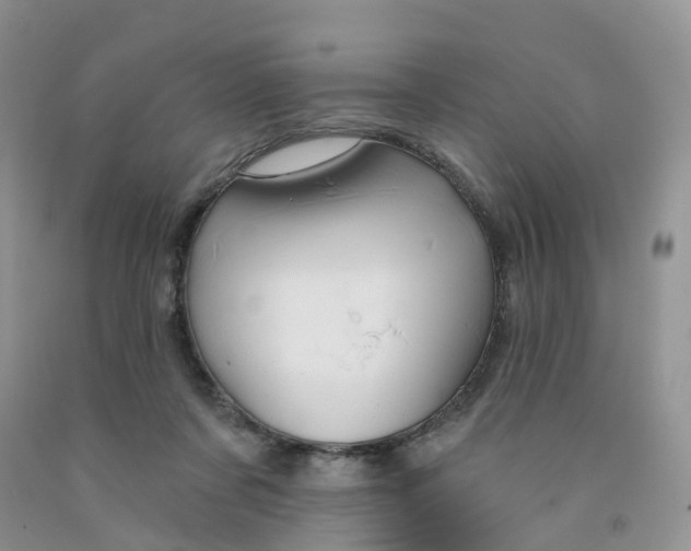 X0000091310311200709071119