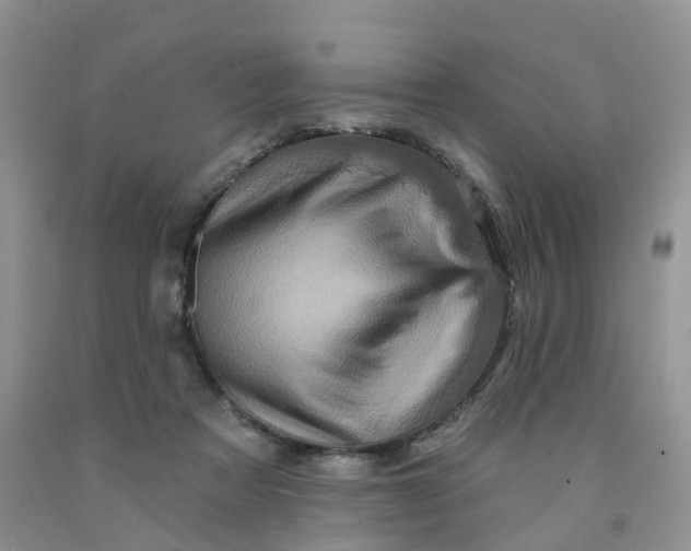 X0000091310313200709071119