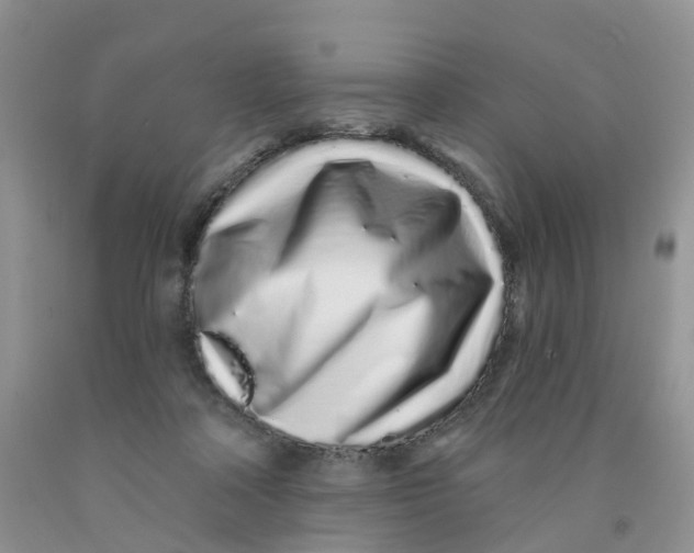 X0000091310314200709071119