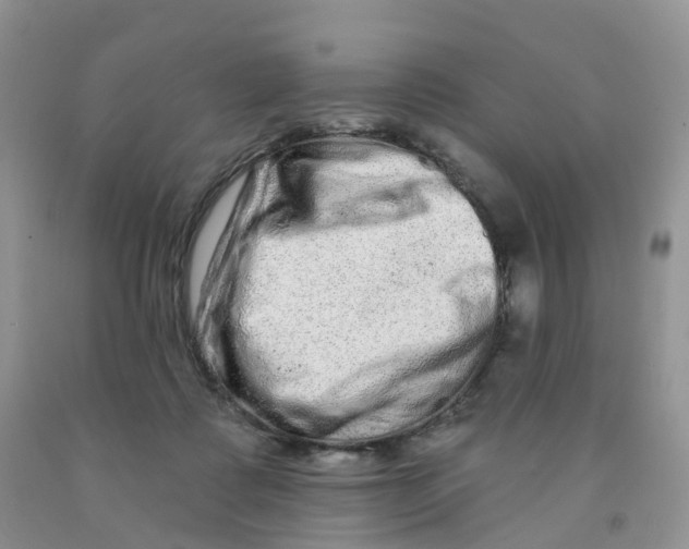 X0000091310315200709071119