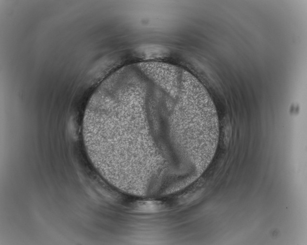 X0000091310316200709071119