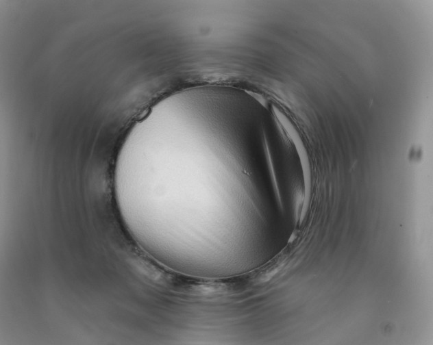 X0000091310317200709071119