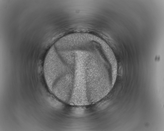 X0000091310318200709071119