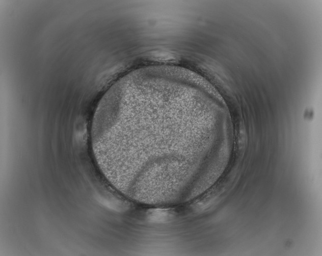 X0000091310320200709071119