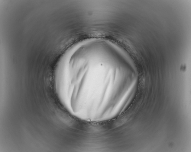 X0000091310322200709071119
