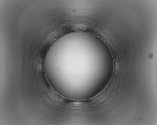 X0000091310323200709071119