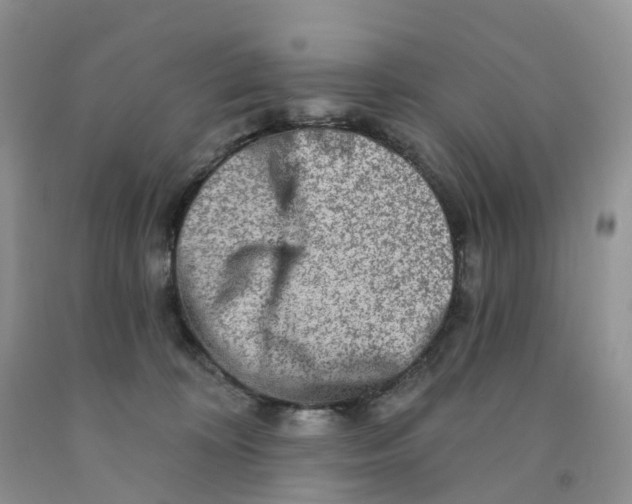 X0000091310324200709071119