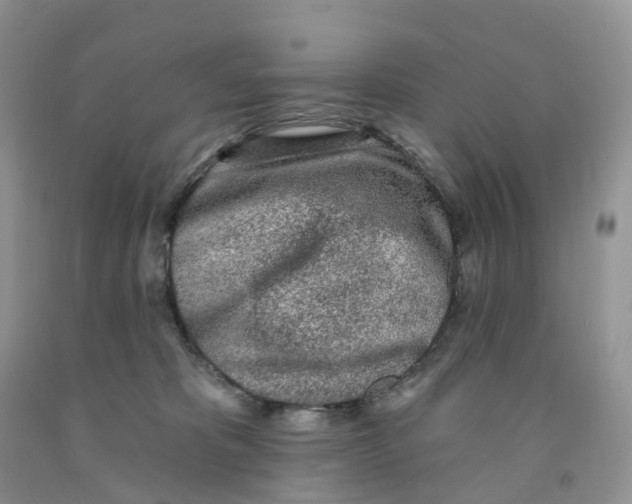X0000091310325200709071119