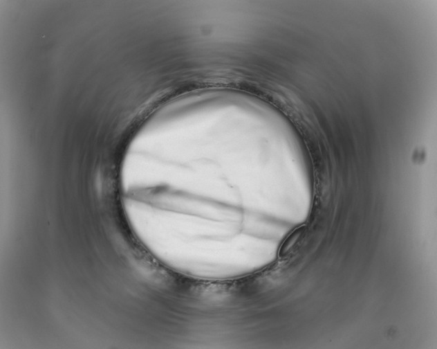 X0000091310326200709071119