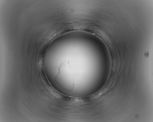 X0000091310329200709071119