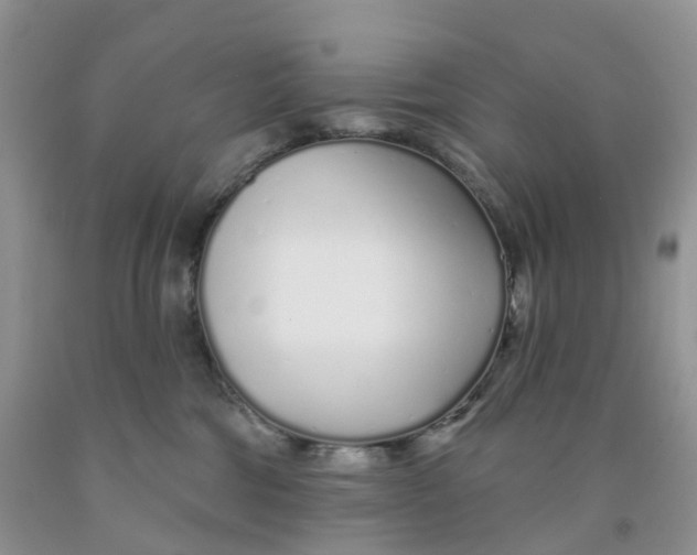 X0000091310330200709071119