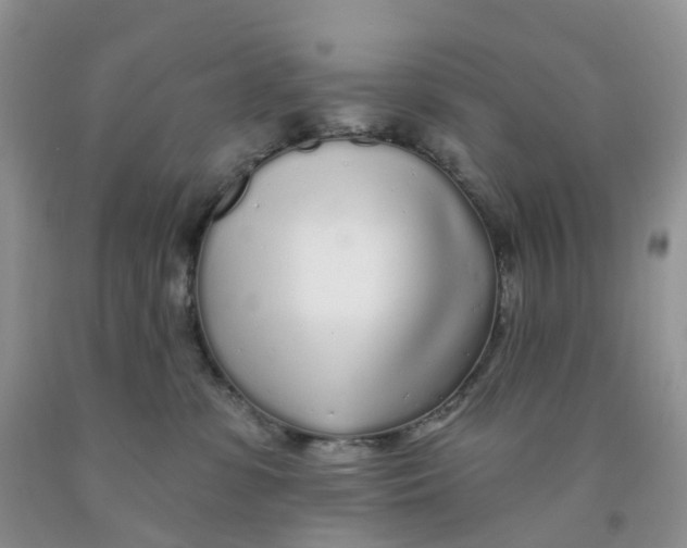 X0000091310331200709071119
