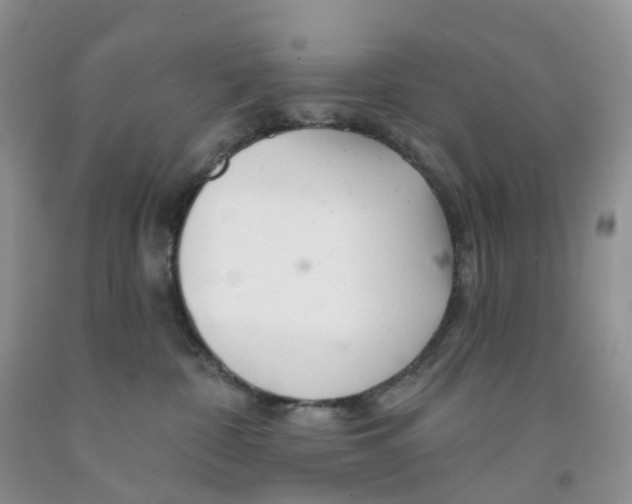X0000091310332200709071119