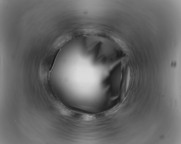 X0000091310333200709071119