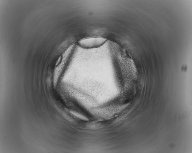 X0000091310334200709071119